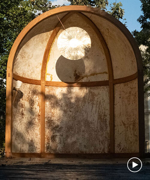 mycelium alcove installation explores interconnectedness between organic matter and sound